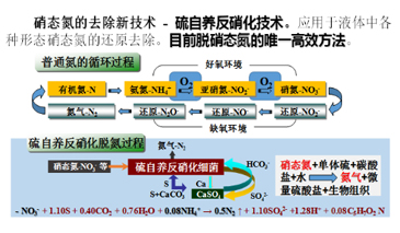 硫自養反硝化脫氮（SAD）技術