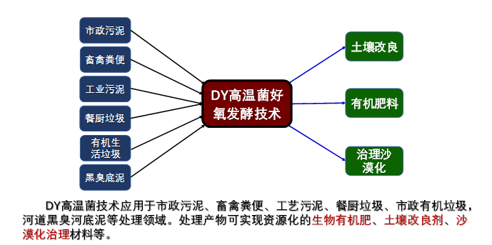 應用領域與服務領域