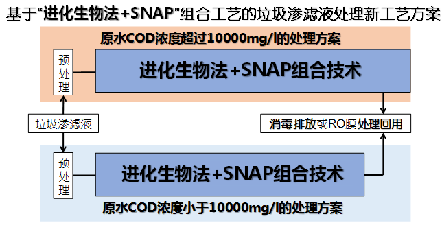 進化生物法+SNAP 