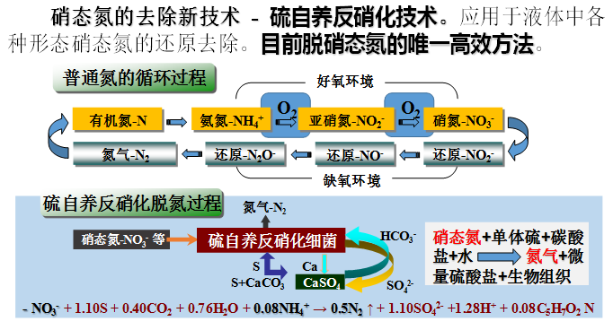 硫自養反硝化脫氮（SAD）技術